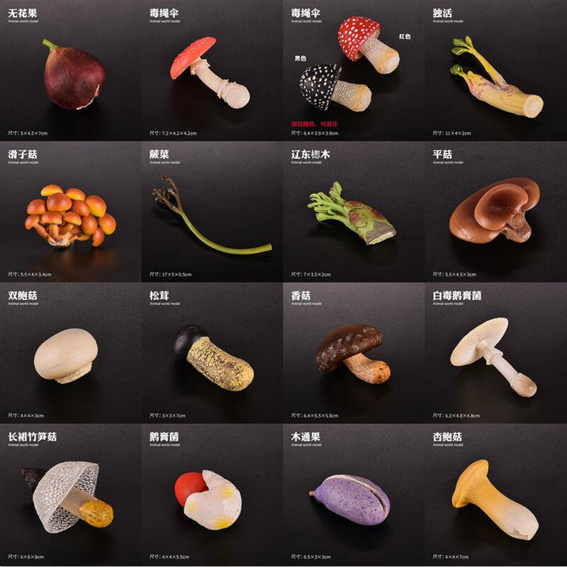 儿童仿真蘑菇平菇香菇松茸蔬菜瓜果模型植物摆件杏鲍菇无花果竹笋