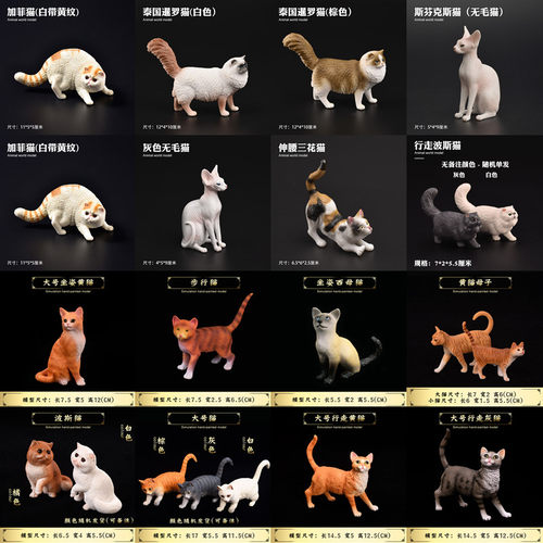 儿童野生动物猫灵无毛