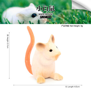 儿童仿真野生动物玩具模型摆件仓鼠天竺鼠豚鼠家鼠老鼠礼物3-6岁