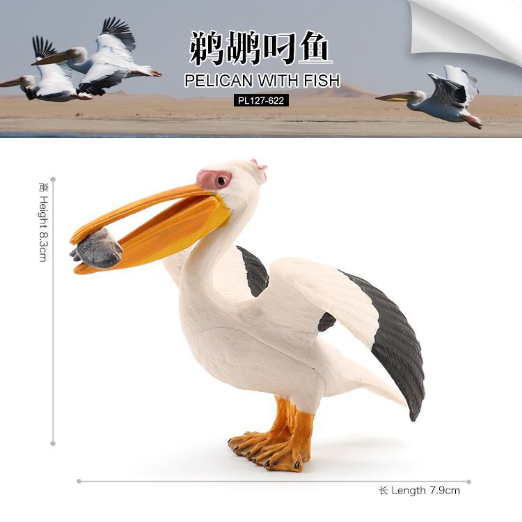 儿童仿真野生动物玩具模型摆件飞行鸟类张口鹈鹕叼鱼鹈鹕鹦鹉老鹰