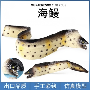 儿童礼物仿真海洋动物玩具模型认知科教摆件鳗鱼海鳗电鳗宽咽鳗