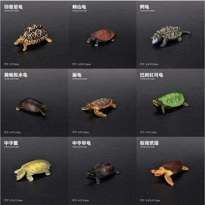 儿童仿真野生动物巴西龟