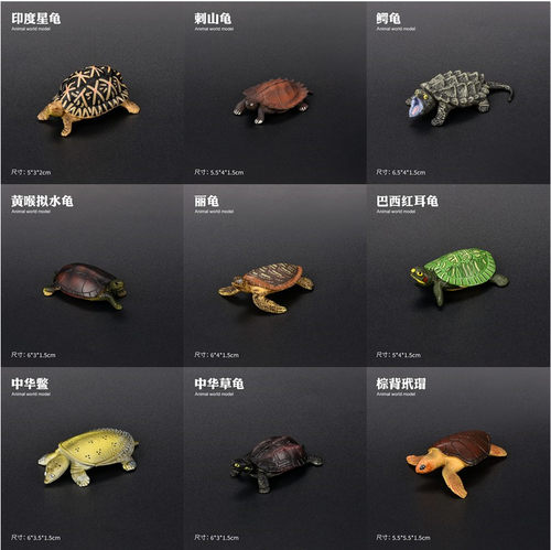 儿童仿真野生动物巴西龟