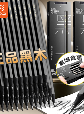 真彩高端黑木黑色hb铅笔小学生专用练字笔安全无毒一二年级学生2b铅笔儿童幼儿园学习文具用品套装考试写字笔
