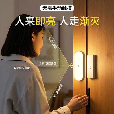 Wireless Rechargeable LED Motion Sensor Strip Light Night