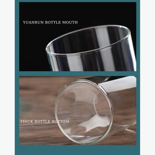 Glass Desk Vase Flower Vase Modern decoration Small Cylinde