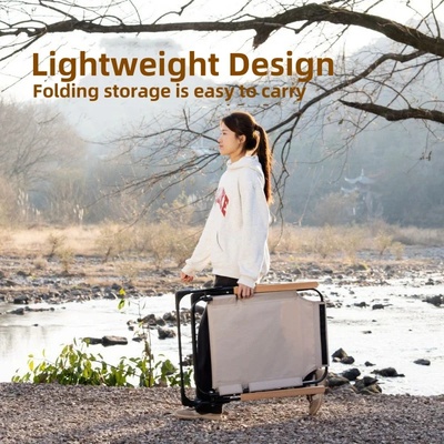 Angle Adjustable Camping Chair with Detachable Pillows,long