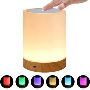 Night Light Touch Sensor Lamp Bedside Table Lamp Rechargeab