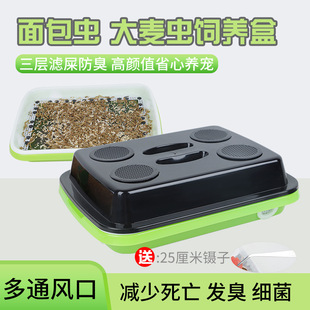 面包虫饲养箱大麦虫九龙虫爬虫活虫养盒滤屎防臭防潮蟑螂蟋蟀饲料