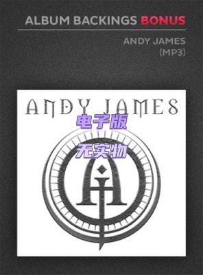 Official Album Backings Bonus Andy James 4首金属吉他曲谱伴奏