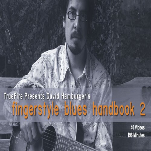 TrueFire Fingerstyle Blues Handbook 2 David Hamburger 指弹