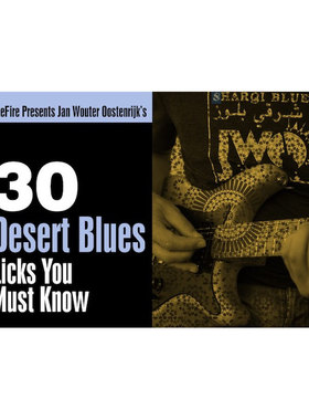TrueFire 30 Desert Blues Licks Jan Wouter Oostenrijk 布鲁斯