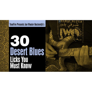 Blues 布鲁斯 TrueFire Desert Wouter Oostenrijk Jan Licks