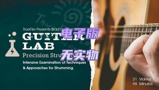 Guitar Lab Precision Carlton吉他扫弦 TrueFire Strumming Brad