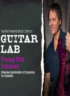 TrueFire Guitar Lab Playing with Dynamics Brad Carlton 吉他