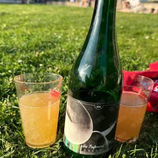 美国进口精酿啤酒参考系柏林弥撒信念啤酒野菌酸艾尔瓶装