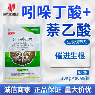 兰月根宝强 12%吲丁萘乙酸生根粉促进生根发根农药生长调节剂100g