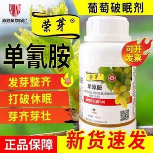 荣芽单氰胺葡萄催芽促芽破眠剂提早发芽单氰氨氢铵调节生长调节剂