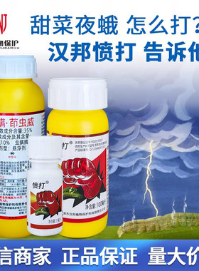 汉邦愤打35%甜菜夜蛾农药杀虫剂