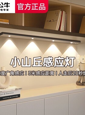 公牛人体感应灯带入户门玄关鞋柜进门小山丘充电led灯条无线自粘