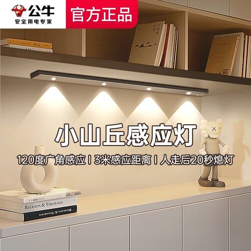 公牛人体感应灯带入户门玄关鞋柜进门小山丘充电led灯条无线自粘