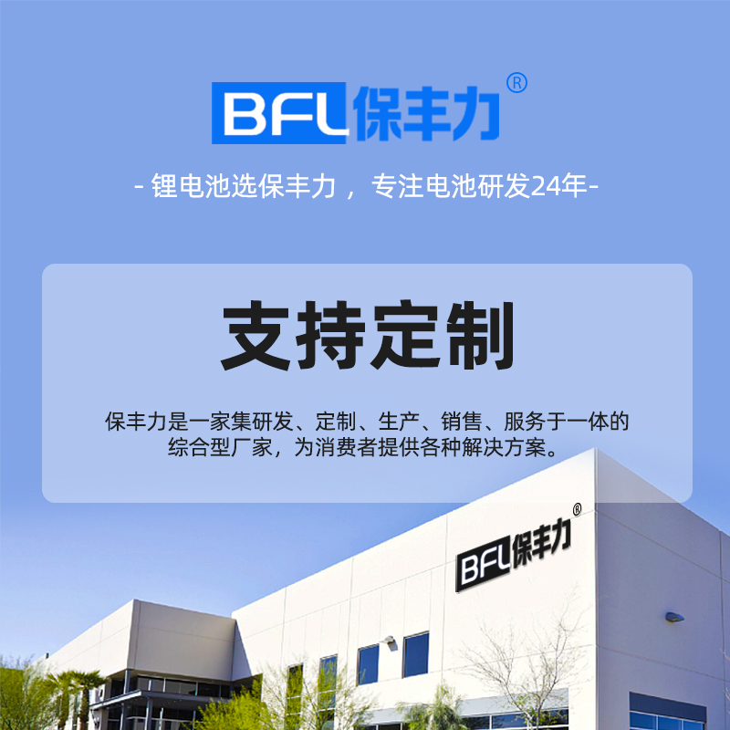 保丰力锂电池组容量定制工厂直销