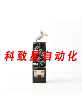 工业配件CHN230GF 2-POLE 30A 120/240V CH 系列断路器PLU