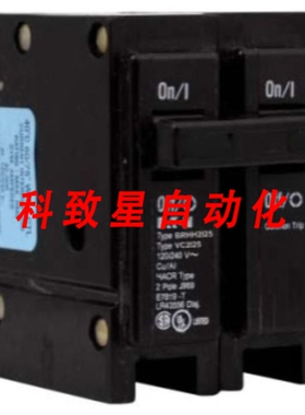 工业配件BRHH2125-125 AMP 2 POLE 120/240V 42KAIC 模制CIRC