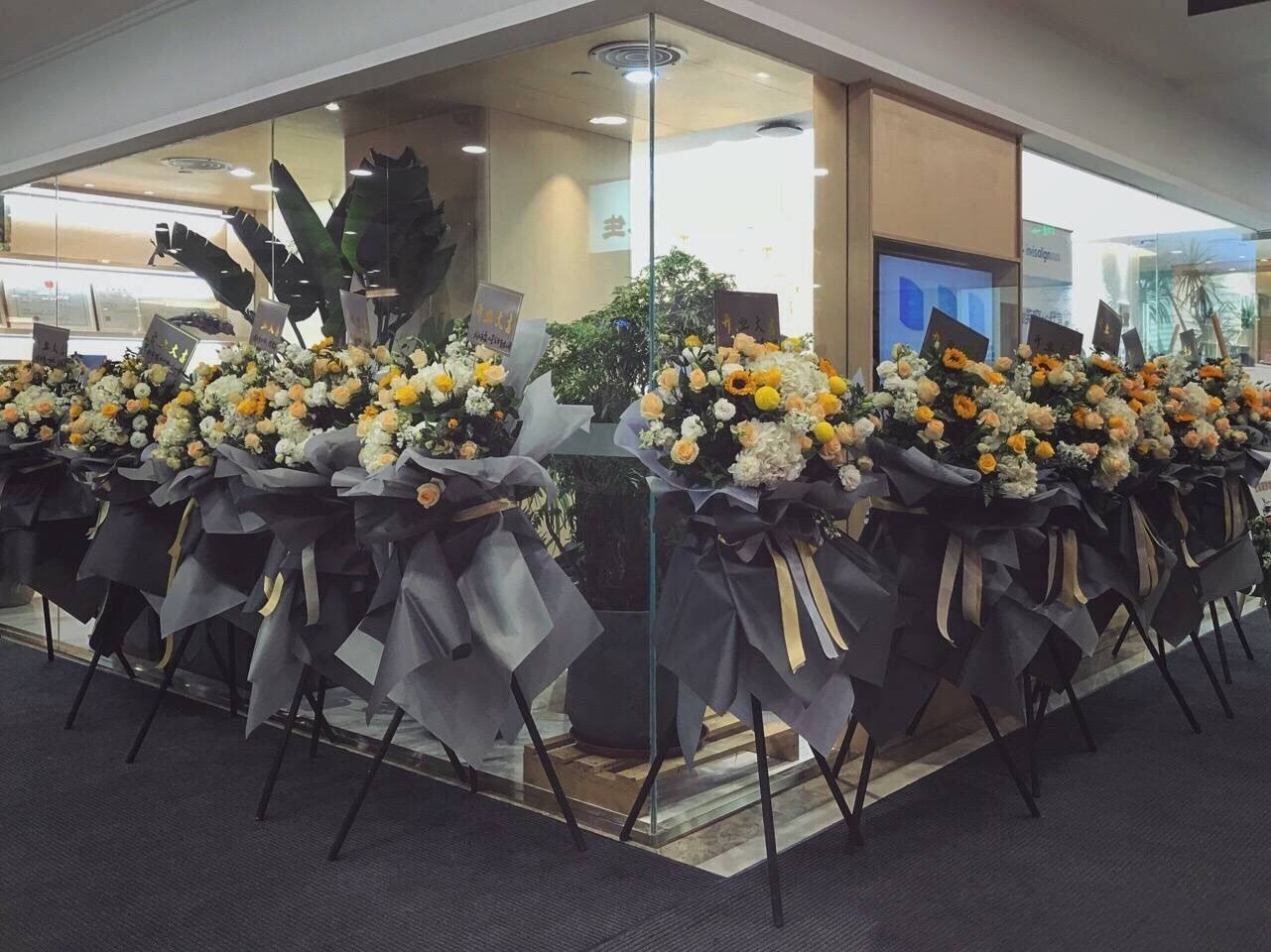 东莞花店开业鲜花蓝同城速递东城南城松山湖大朗常平虎门长安高埗