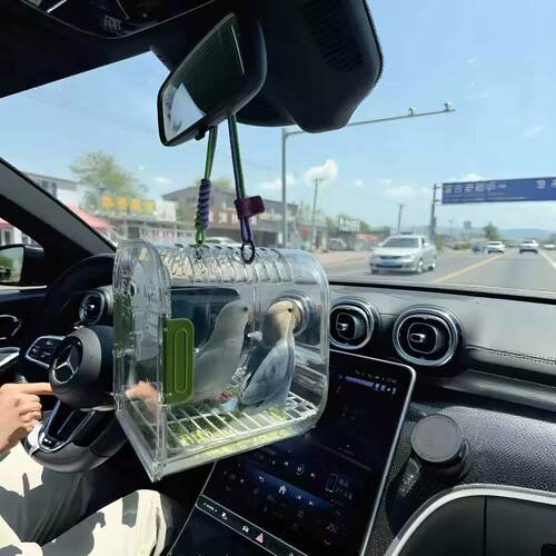 车载鹦鹉站架小型宠物全