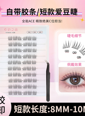 原初之萌免胶短款自然爱豆ACE女团韩系假睫毛日常妆8-9-10mm分段