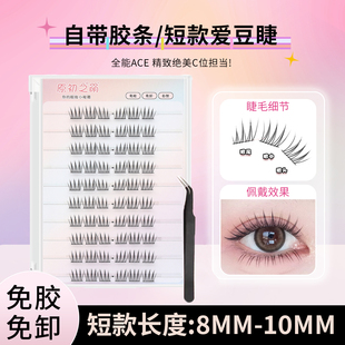 10mm分段 原初之萌免胶短款 自然爱豆ACE女团韩系假睫毛日常妆8