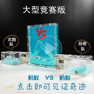 竞赛vs版蚂蚁城堡宠物活物团队