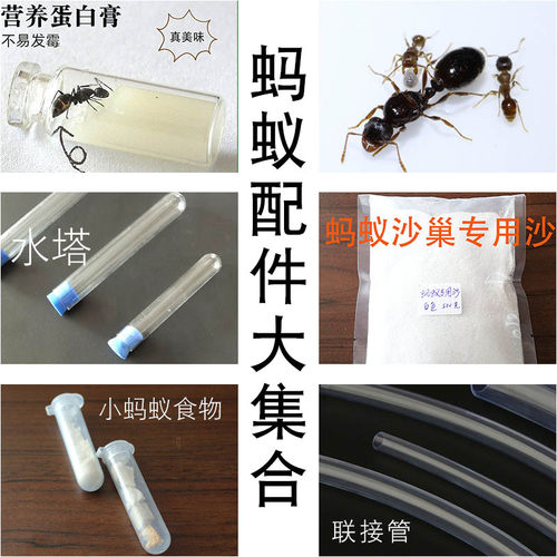 蚂蚁城堡各种配件\凝胶扩展管道