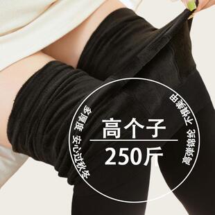 250斤加肥特大码 袜女春秋加绒防勾丝不掉裆光腿神器胖m 保暖打底裤