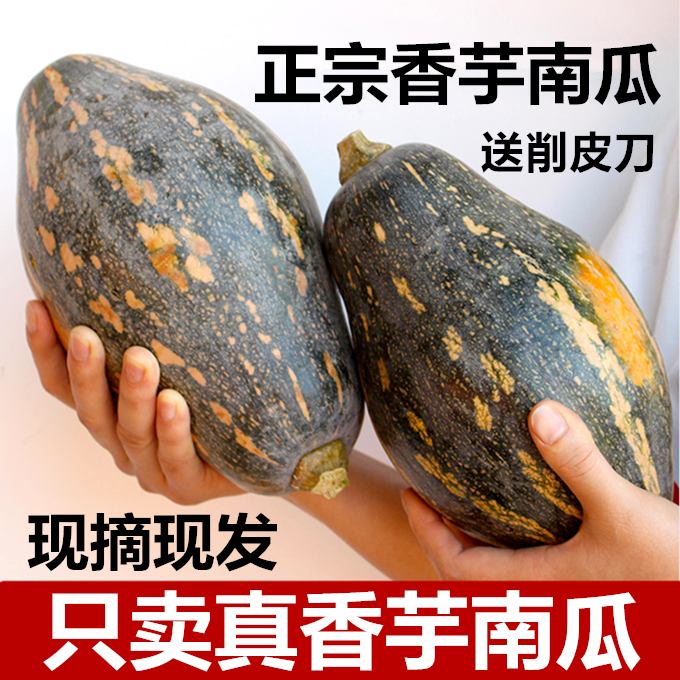正宗香芋南瓜新鲜甜糯粉糯板栗味当季蔬菜宝宝辅食迷你非贝贝南瓜,水产肉类/新鲜蔬果/熟食,南瓜,淘宝优惠券,粉丝福利购,淘宝优惠卷