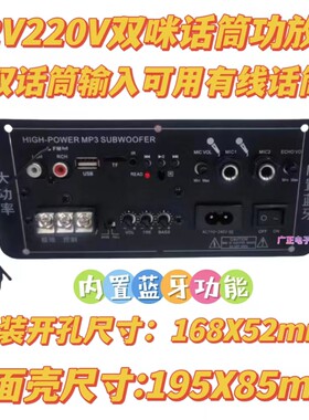 双话筒双咪低音炮功放板12V110V220V收音蓝牙混响高低音箱主机