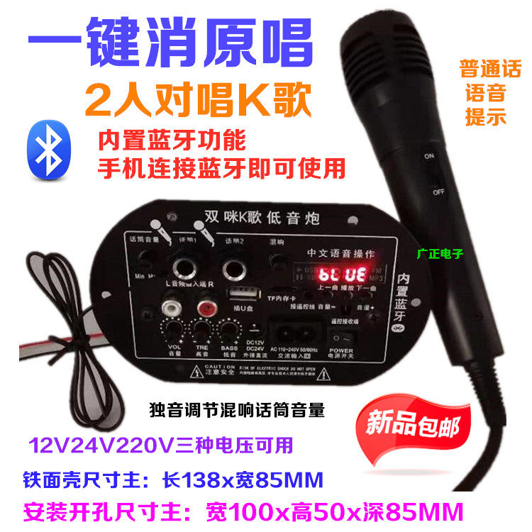 低音炮功放板12v24v110V220v通用炮芯蓝牙音箱主板6-10寸喇叭可用