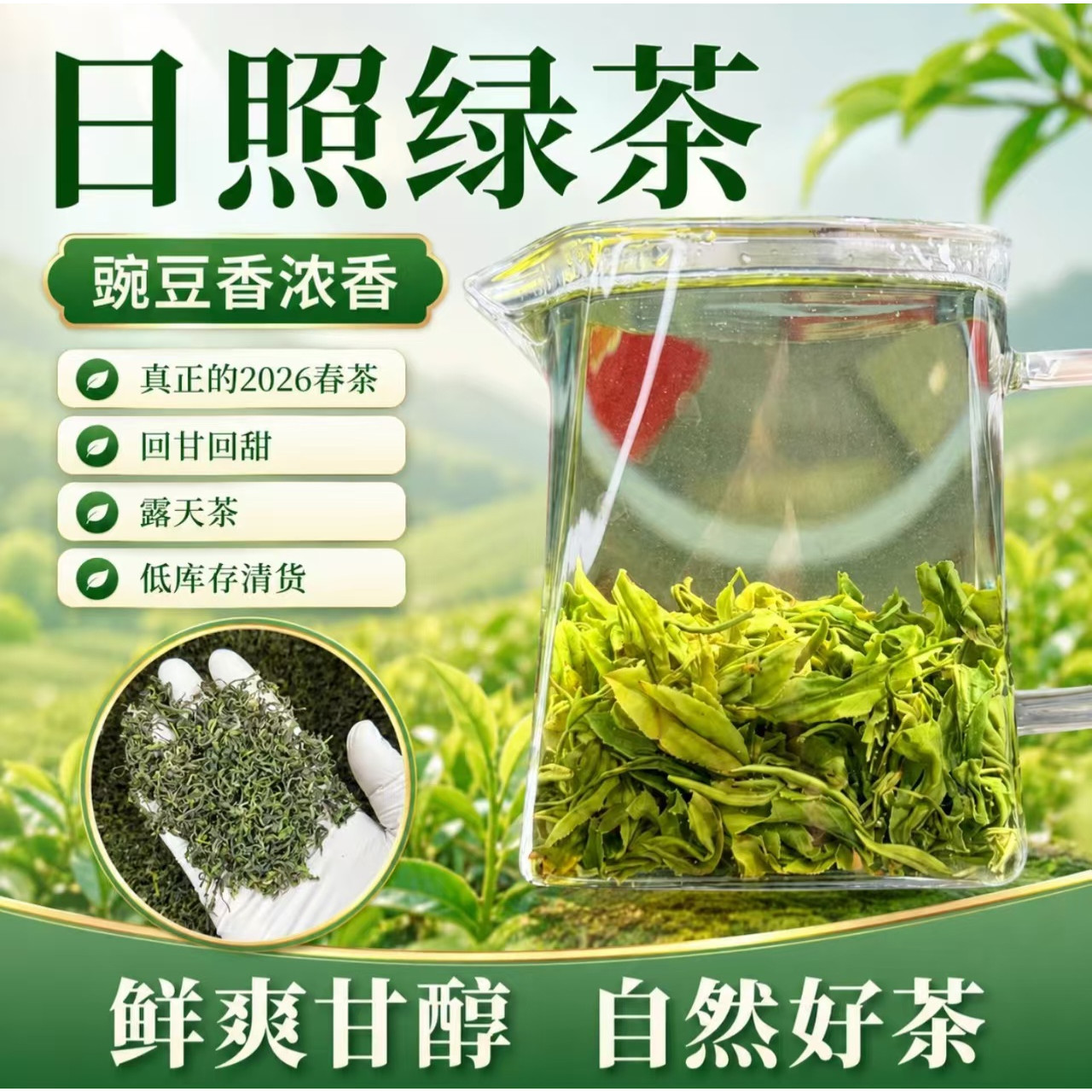 特级日照绿茶2026年新茶春茶板栗香山东特产日照绿茶叶浓香型豆香