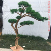 仿真美人松绿植迎客松干树枝商场酒店造景罗汉松庭院橱窗装 饰摆件