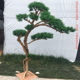 仿真美人松绿植迎客松干树枝商场酒店造景罗汉松庭院橱窗装 饰摆件