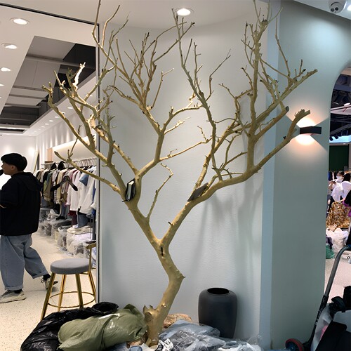 天然干枯树杆装饰许愿树道具