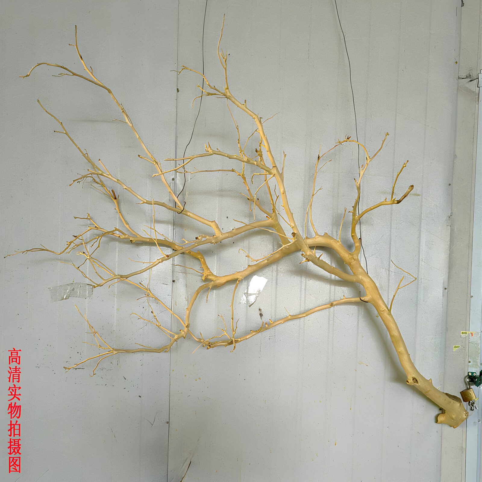 干树枝壁挂摆件造景餐厅树枝花艺图片
