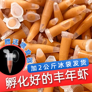 五点虾农冰冻丰年虾幼虫丰年虾卵孵化孔雀鱼食鱼苗水花饲料开口粮