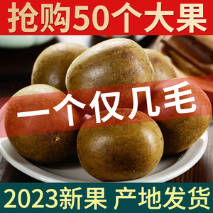 罗汉果正品旗舰店桂林特产非野生永福罗汉果 正品广西罗汉果茶