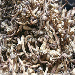 大兴安岭野生毛尖蘑250克 金娃娃 煲汤鲜嫩 自然晾晒 干货包邮