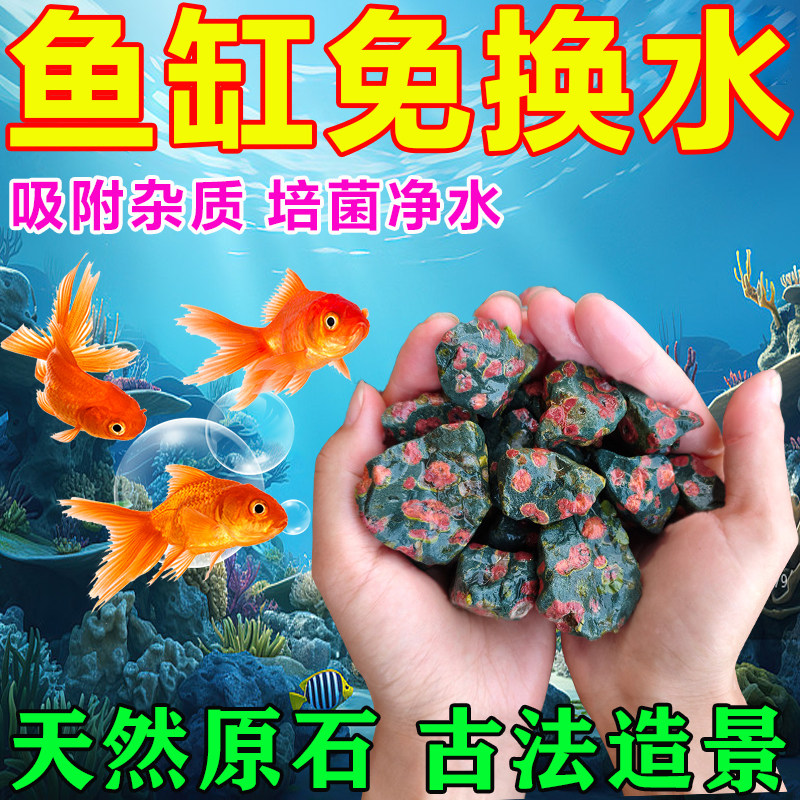 梅花玉鱼缸石纯天然造景装饰鱼缸底部砂石过滤天然原石养龟净水石