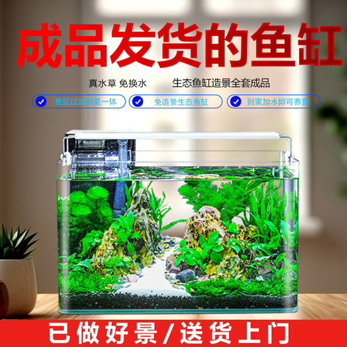 做好景发货的真水草生态鱼缸