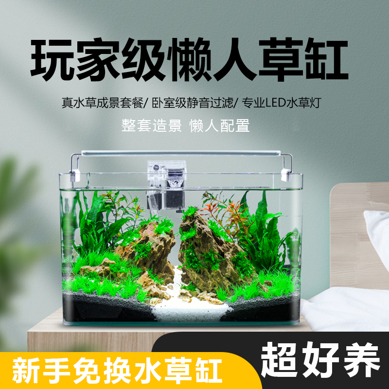 鱼缸客厅玻璃鱼水草造景全套活体