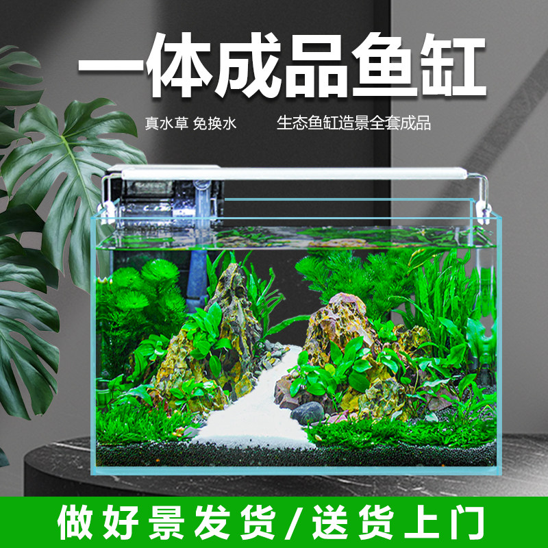 金晶超白玻璃真水草免换水生态鱼缸家用桌面客厅小型一体造景鱼缸